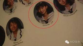 天涯网爆料明星八卦最新