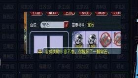 武帝主播爆料视频,视频内容深度解析